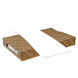 Via Vellum Cream White Paper - 23 x 35 in 100 lb Text Vellum 30% Recycled  750 per Carton